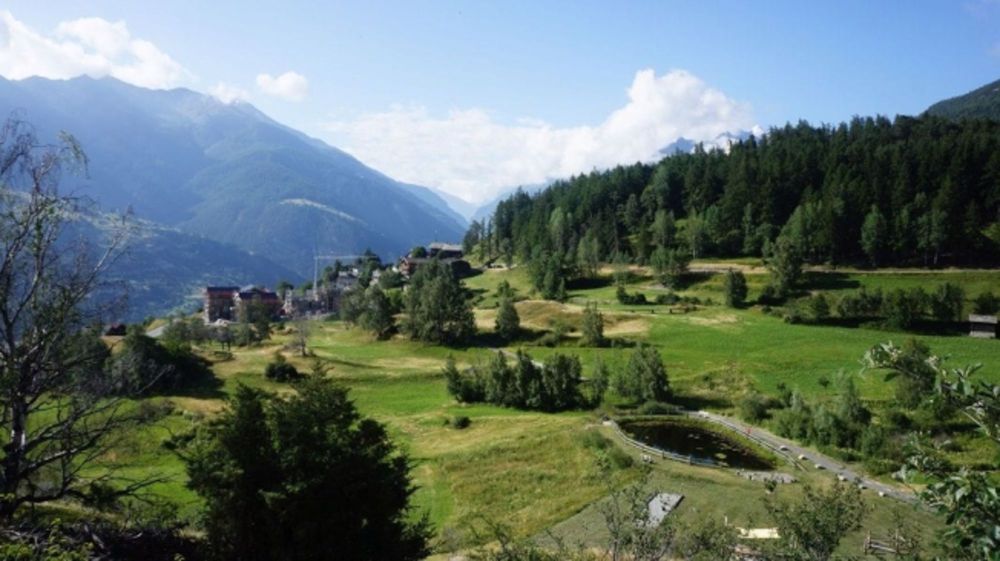 Wohnen am Sonnenplateau – 3.5-Zimmerwohnung mit Aussicht - Bild 11