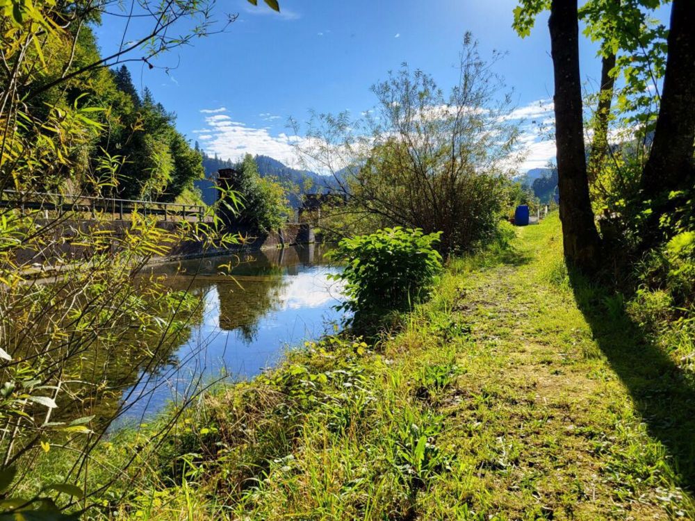 Exklusive und grosszügige Attika 4.5-Zimmer-Eigentumswohnung an ruhiger, naturnaher Lage! - Bild 5