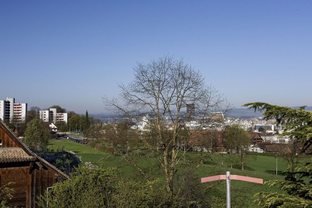 Neubau-Projekt: 382 m² Stadtvilla Zug - Bild 2