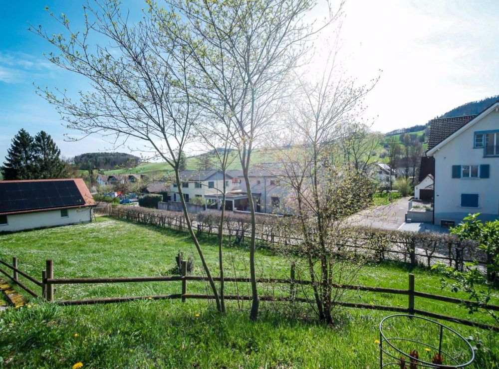 zwei exklusive EFH-Projekte - Bild 2