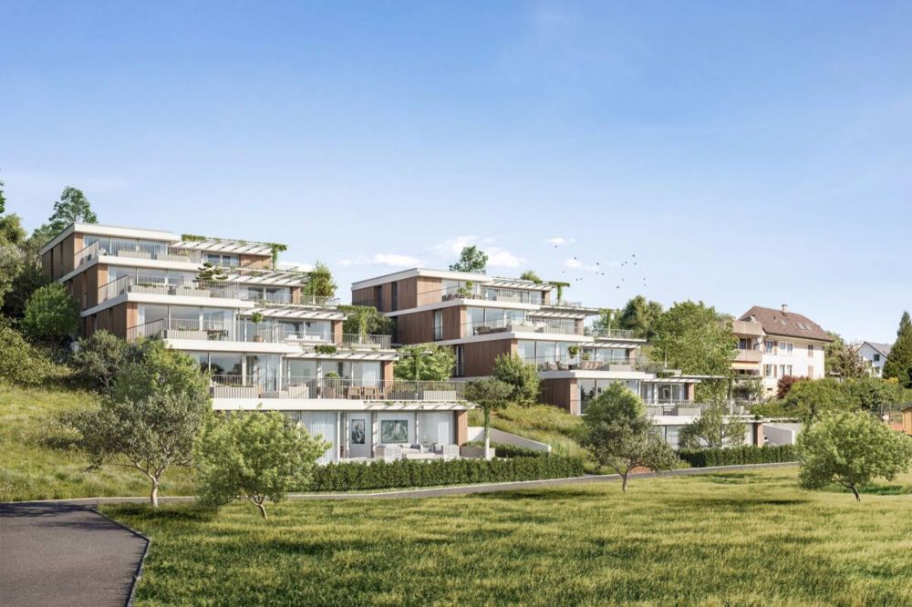 Escalera Seengen Weitsicht. Natur. Pur. - Letzte EG-Wohnung! - Bild 4