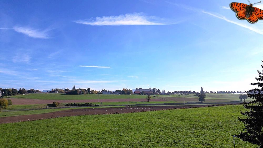 Superbe 4½ pièces de 152 m² au 2ème avec prestations haut de gamme ! - Vue depuis le 2éme étage