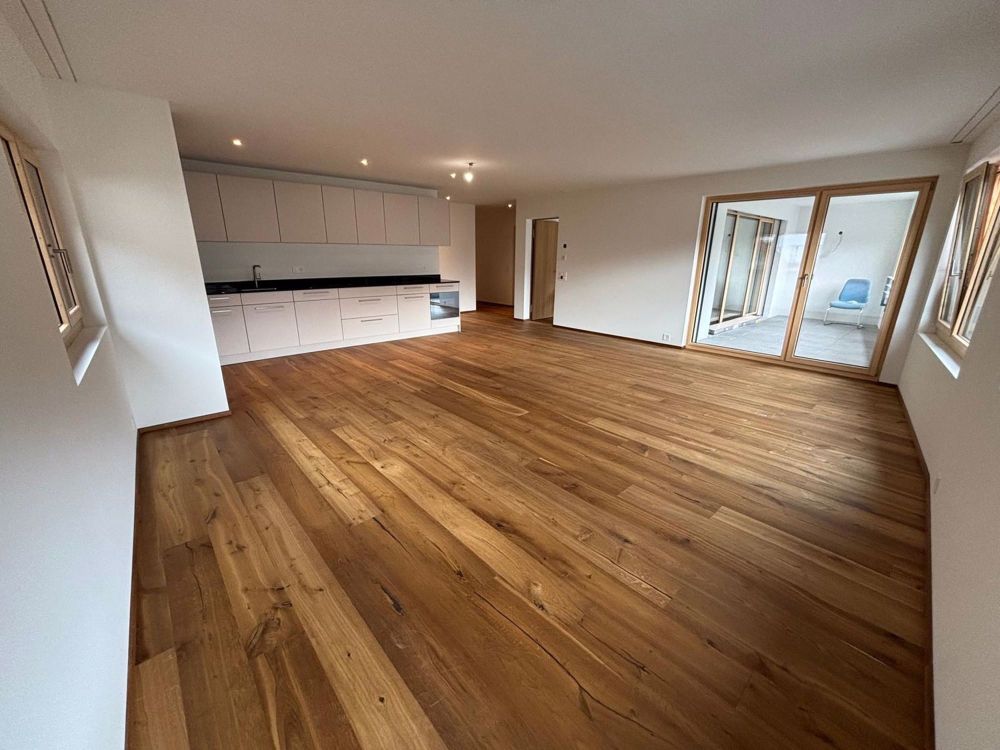 Neubau: 4.5-Zimmer-Erstwohnung - Bild 1
