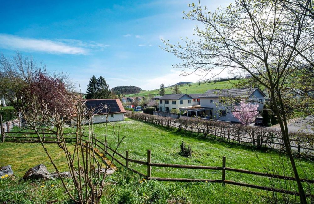 zwei exklusive EFH-Projekte - Bild 4