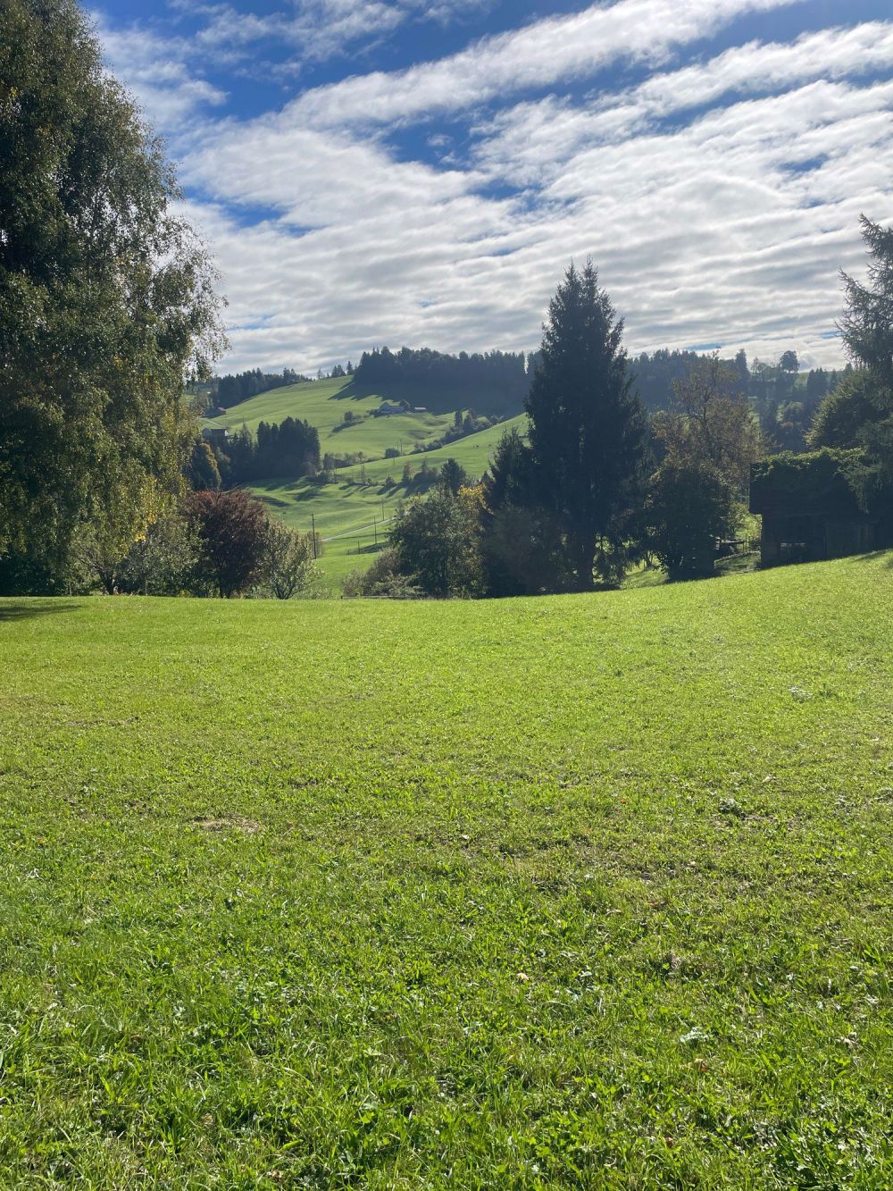Schickes modernes 7-Zi.-Einfamilienhaus an privilegierter Aussichtslage in Teufen - Bild 2
