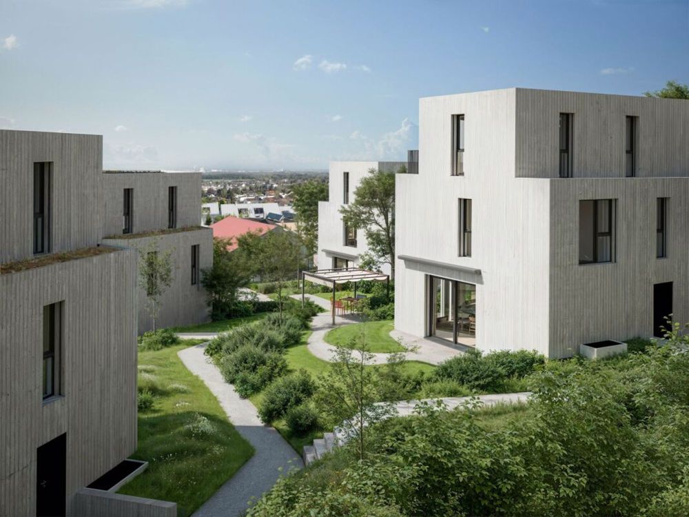 Baustart erfolgt: Im Baumgarten 6.5-Zimmer EFH - Bild 2