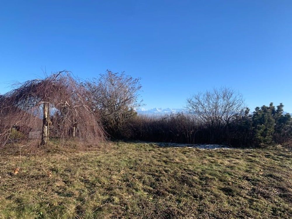 2073 Enges/NE Spacieuse et magnifique villa avec vue et garage double - Bild 5