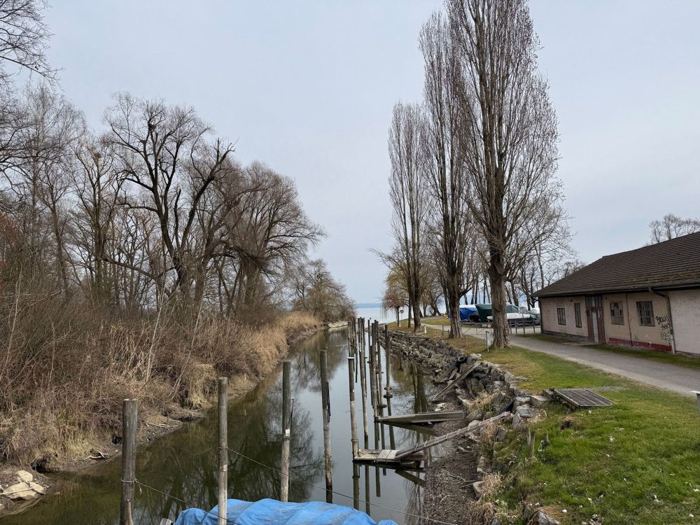 3 1/2 Zimmer-Dachwohnung - Neubau am bodensee - naturverbunden - modern - zentral - neu - Bild 4