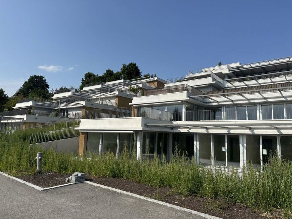 Escalera Seengen Weitsicht. Natur. Pur. - Letzte EG-Wohnung! - Bild 10