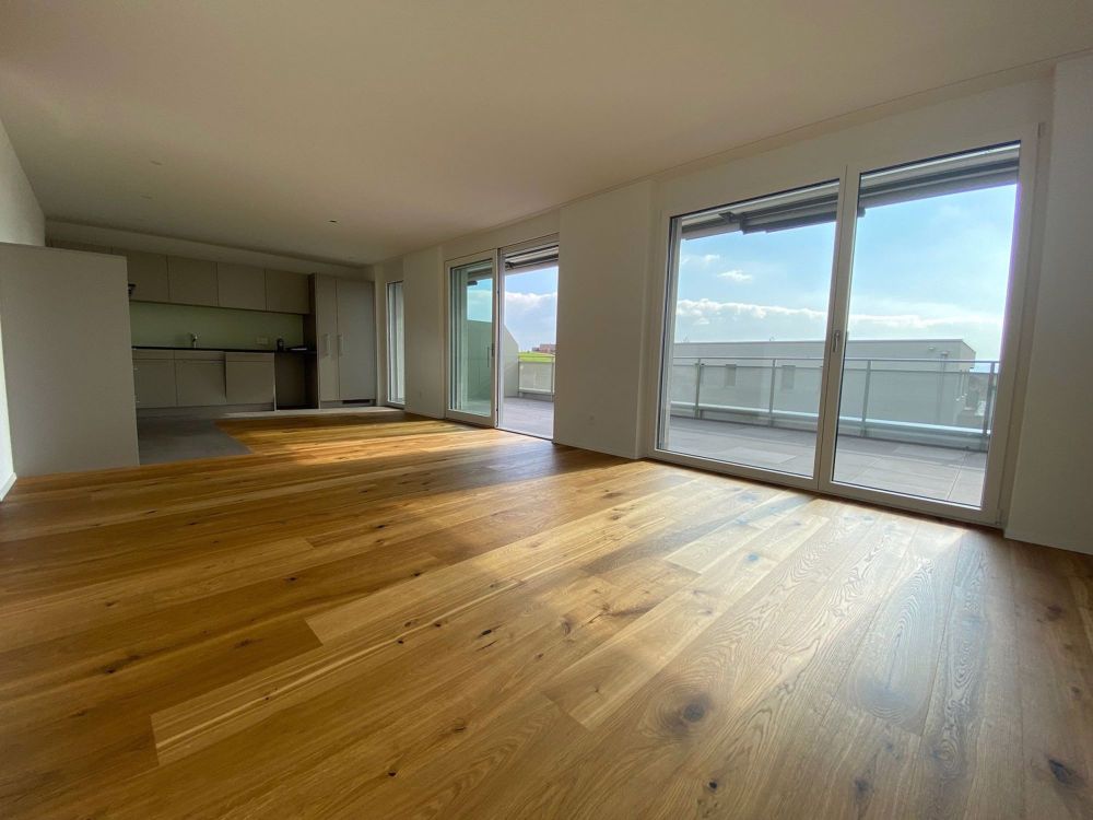 Exklusive Attikawohnung mit grosser Terrasse und Weitsicht - Bild 7