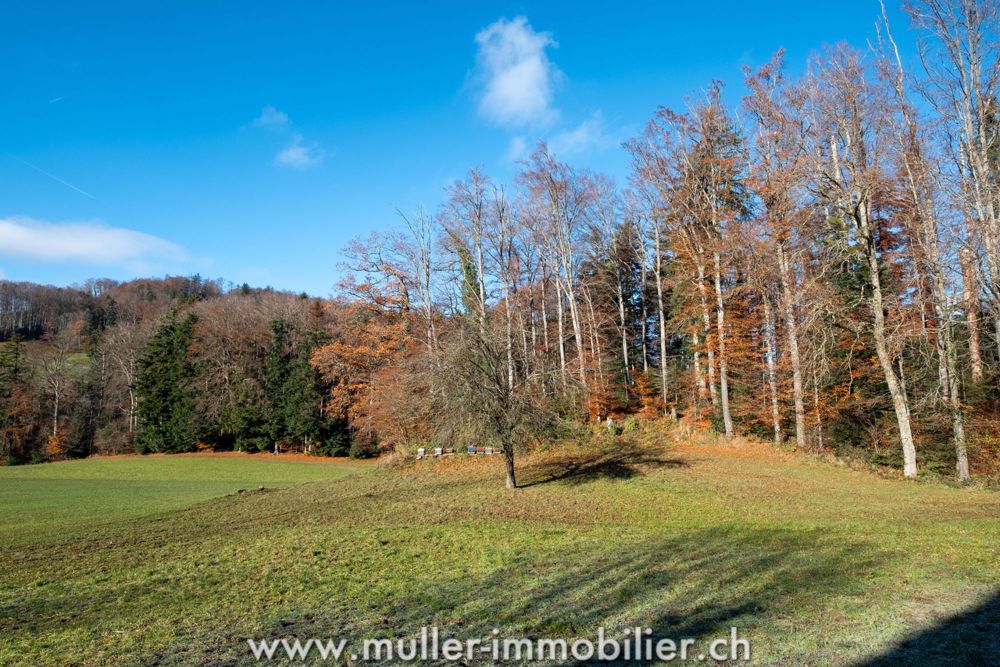 Charmanter Bauernhof mit Renovierung - zwischen Natur und Moderne! - Bild 12