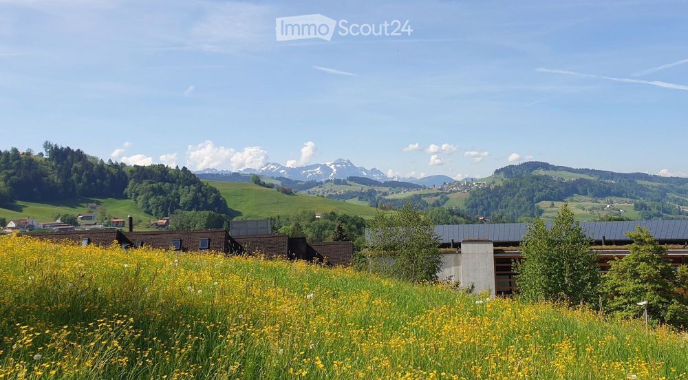 Neubauwohnungen in Eggersriet an erhöhter Lage mit Weitsicht - Bild 1