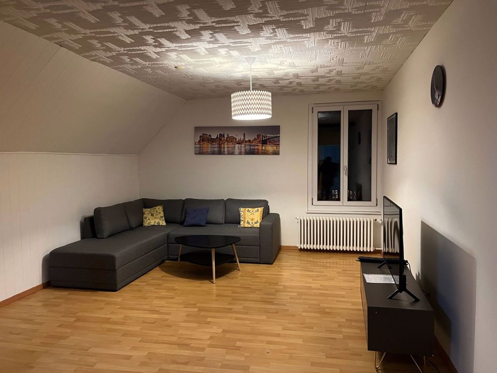 3.5 Zimmer Fully Furnished Apartment, 8304 Wallisellen - Bild 1