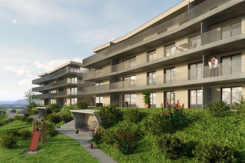 3 ½ Zimmer-Attikawohnung in Gampelen kaufen - Bild 1