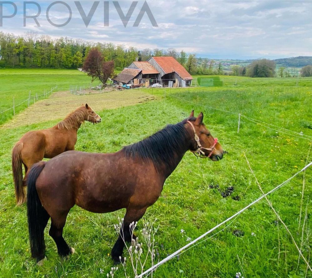 Ferme transformé - prix attractif - Bild 2