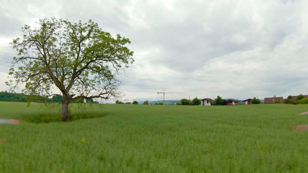 Neubau Haus A - Leben nahe der Natur