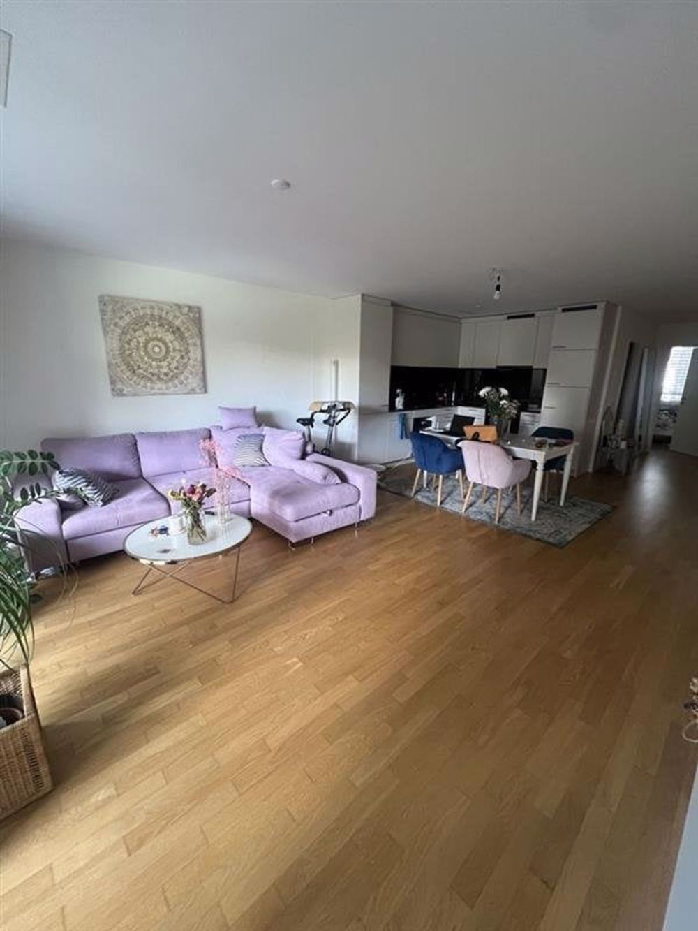 Wochenaufenthalter/in gesucht - Bild 1