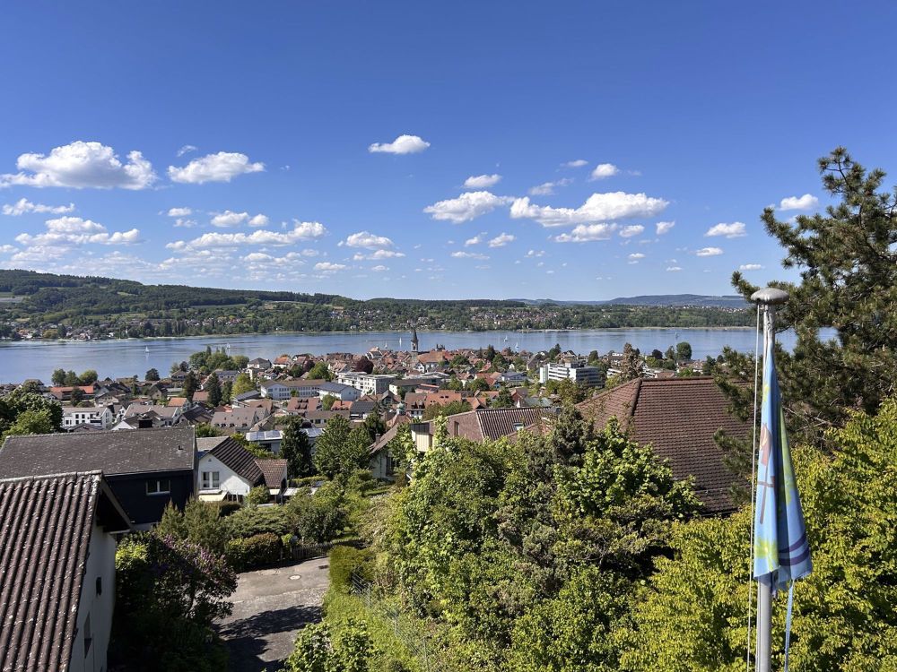 3 ½ Zimmer-Wohnung in Steckborn mieten - Bild 2