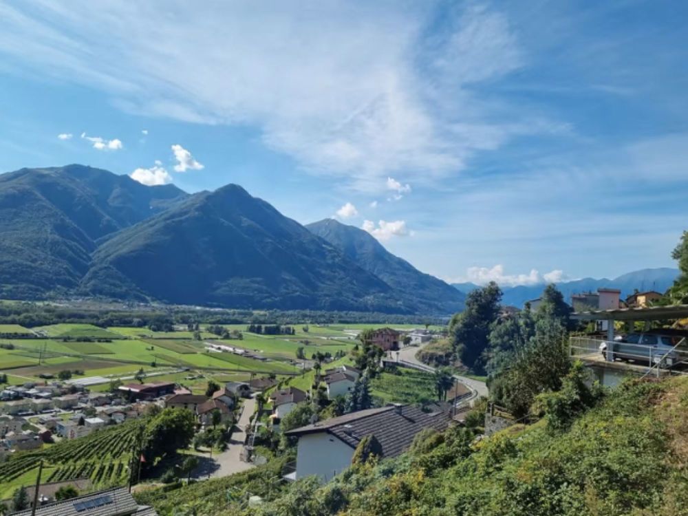 Appartamento 3.5 locali con giardino, nuova costruzione - Bild 5