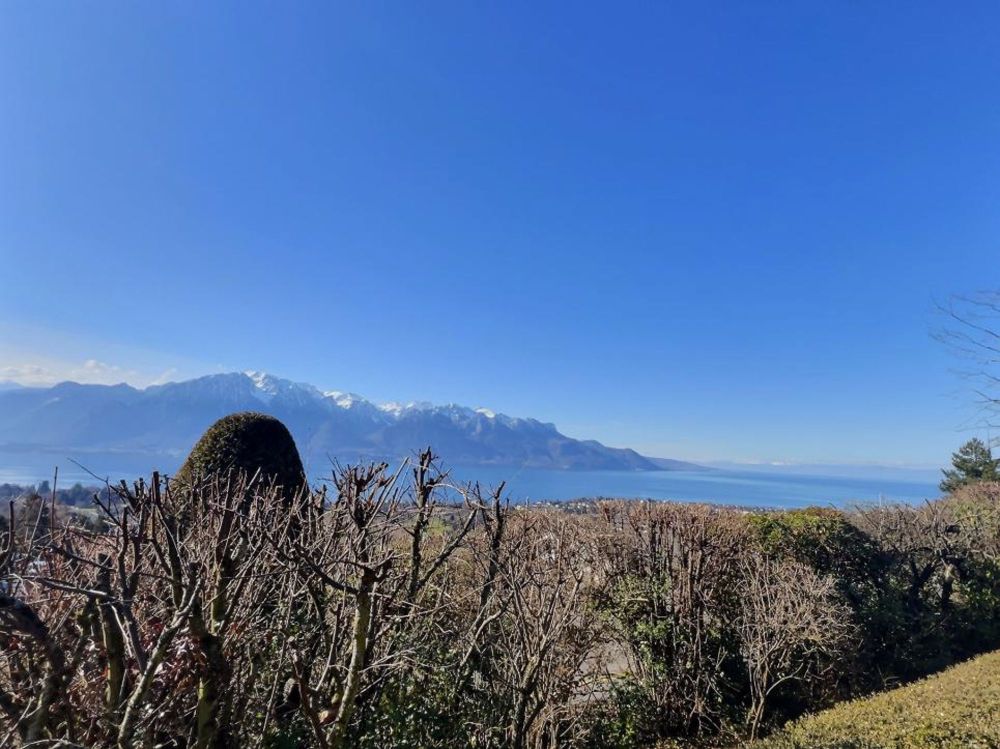 Terrain à bâtir 1'390 m2 avec vue panoramique sur le lac - Bild 7