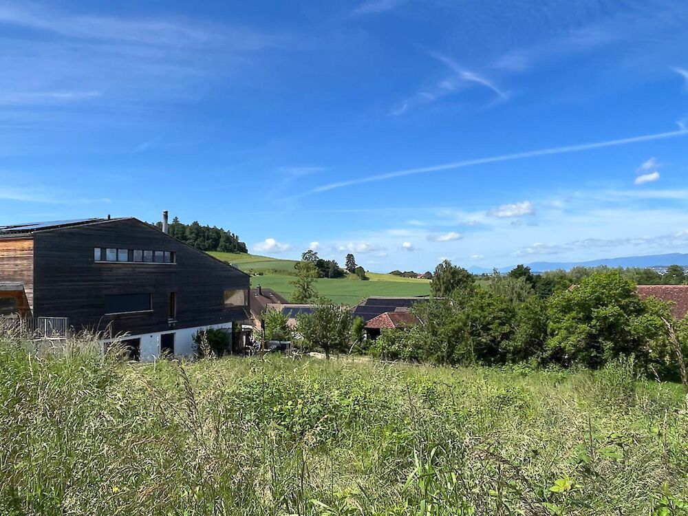 Neubau 4.5 Zimmer-Wohnungen in Murten - Bild 3