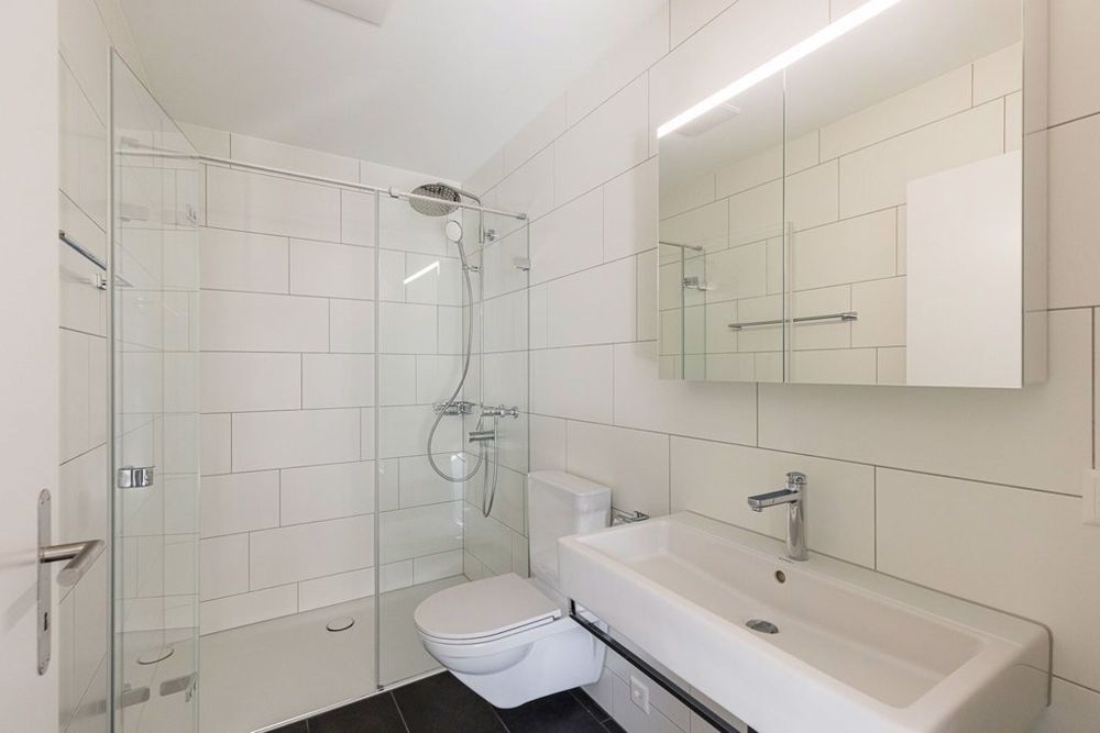 4 ½ Zimmer-Wohnung, 5726 Unterkulm - 123-10-0401_Bad_mit_Dusche.jpg