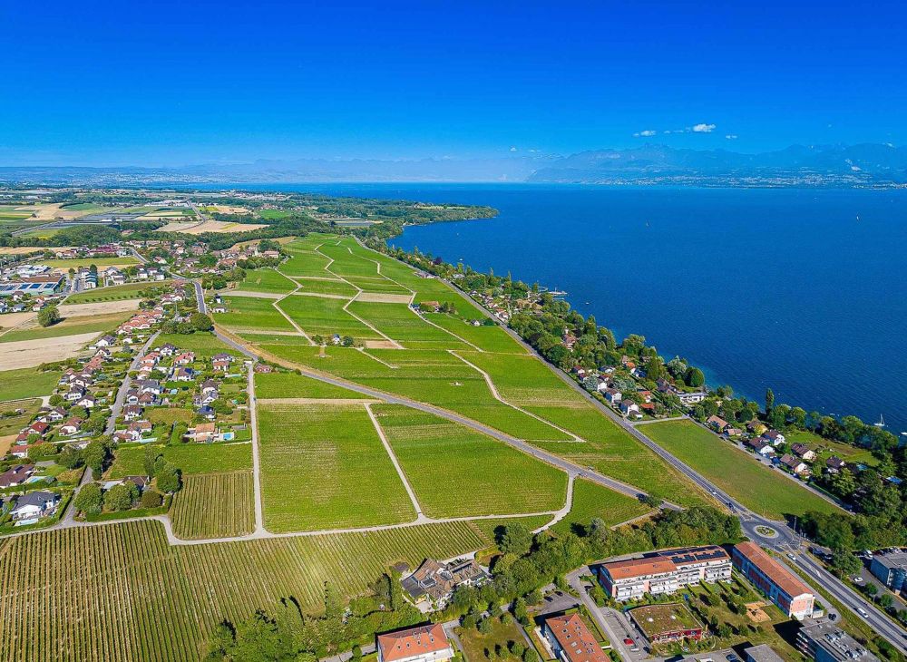 Geräumige 3.5-Zimmer-Wohnung mit 108m2, 2 Balkonen und Seeblick - Bild 8