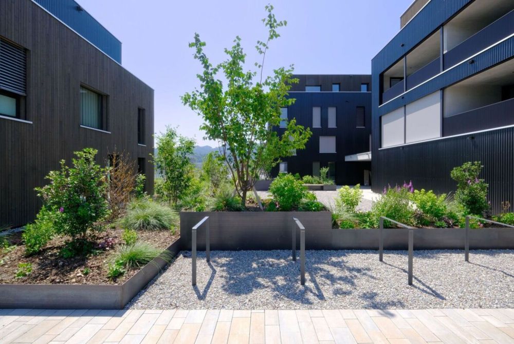 Wohnen mit Blick auf die Reben von Berneck - Überbauung Emseren, Au - Bild 2