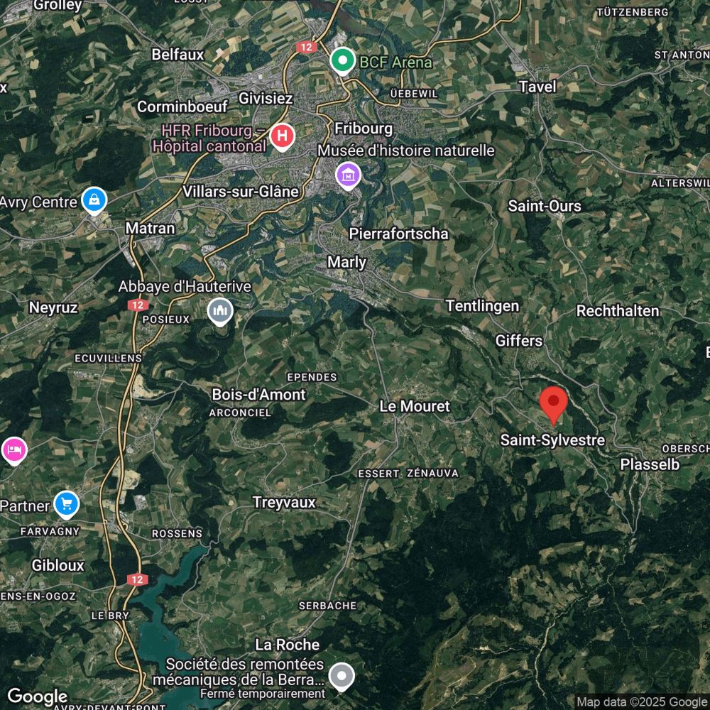 4 neue Villen - ein idyllischer Lebensraum inmitten der Natur! - Bild 13