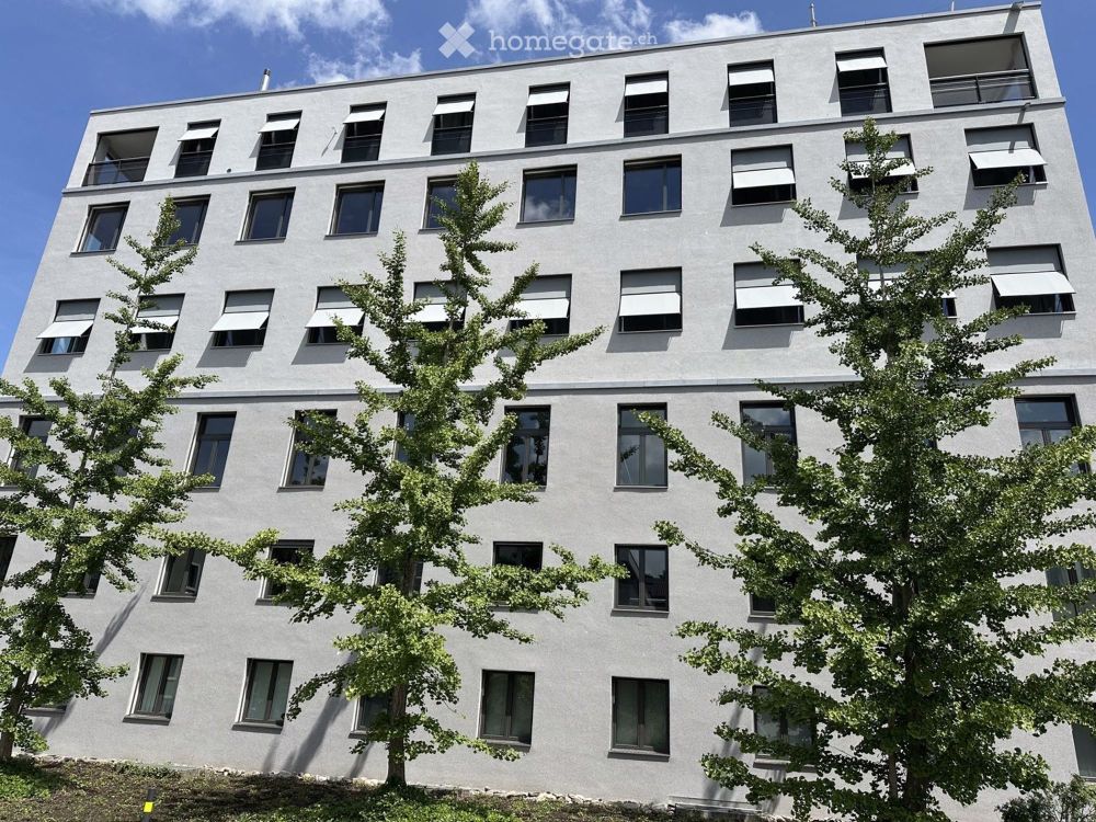 Attikawohnung Erstvermietung in Wetzikon ZH - Bild 1