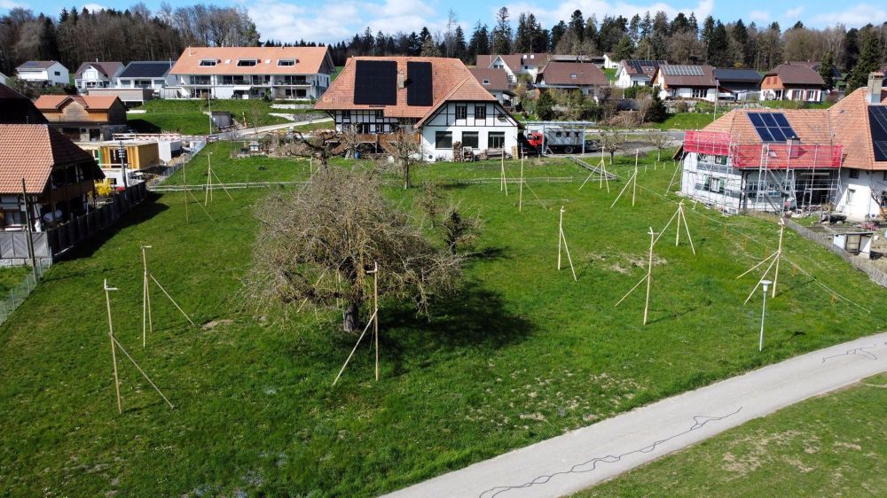 Ihr neues Zuhause im Grünen – Moderne Einfamilienhäuser im Buechibärg - Bild 1