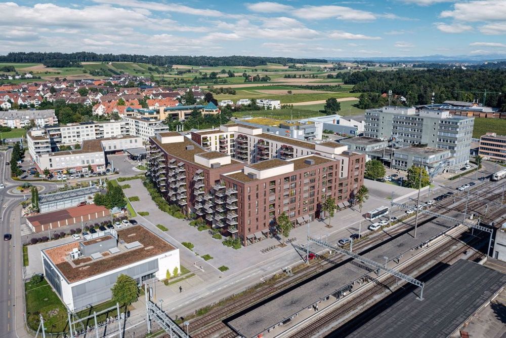 3 ½ Zimmer-Wohnung in Regensdorf mieten - Bild 1
