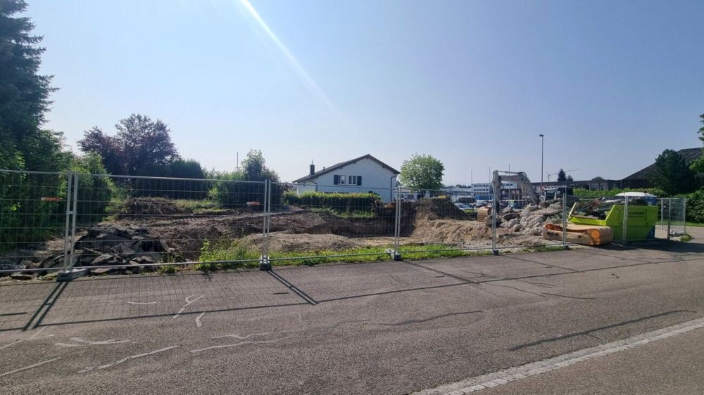 HOUSE OF LION - HAUS C - Bild 6