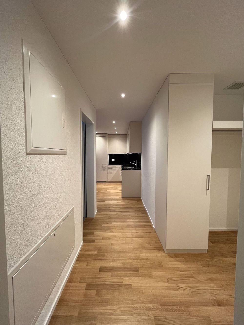 Geräumige Wohnung im Greenside - modernes Wohnen in ruhiger Lage - Korridor zu Küche