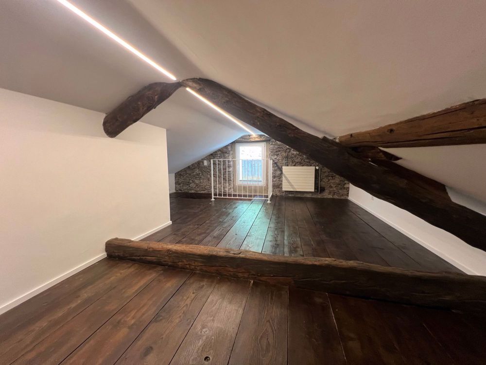 Duplex Wohnung im Biotop-Paradies von Bolle di Magadino , Feriendomizil - Bild 1