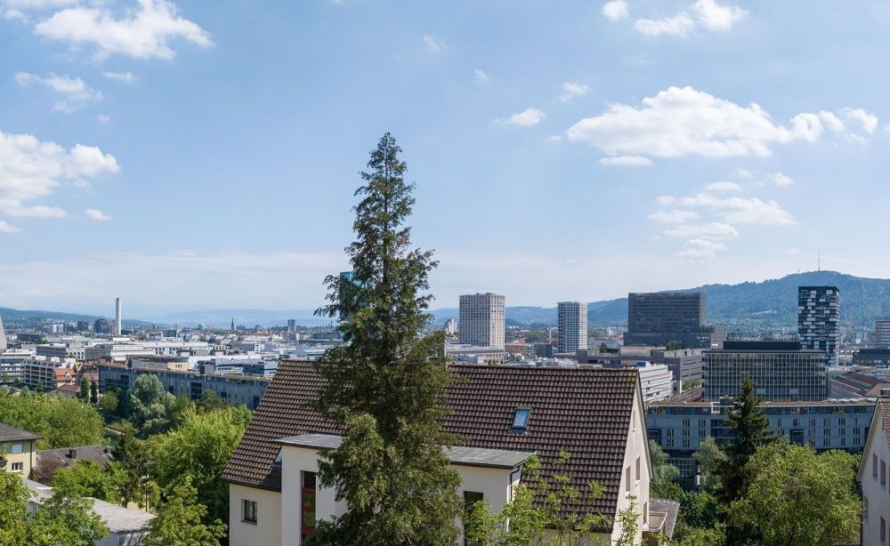 Neubauwohnung in Zürich-Hoengg - Weitsicht