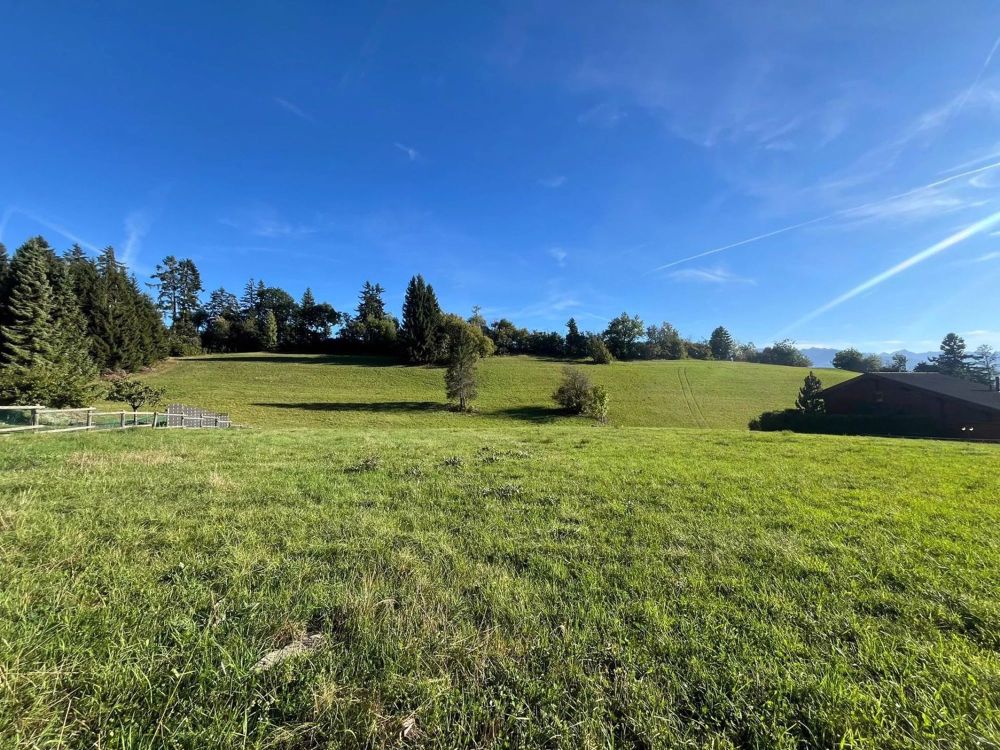 Magnificent Chalet in Crans-Montana mit Baugenehmigung - Bild 11