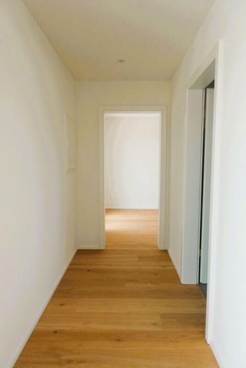 2.5 Zimmer Attikawohnung mit Fernsicht in Derendingen - Gang Wohn-/Essbereich zu Bad und Schlafzimmer