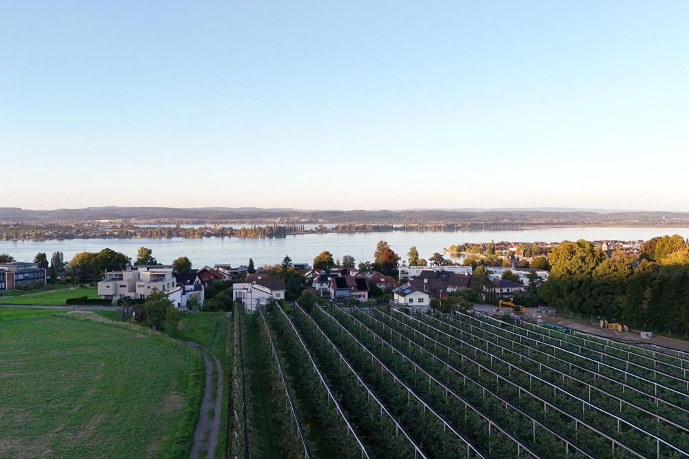 See la vie - Wohngenuss am Bodensee - Bild 5