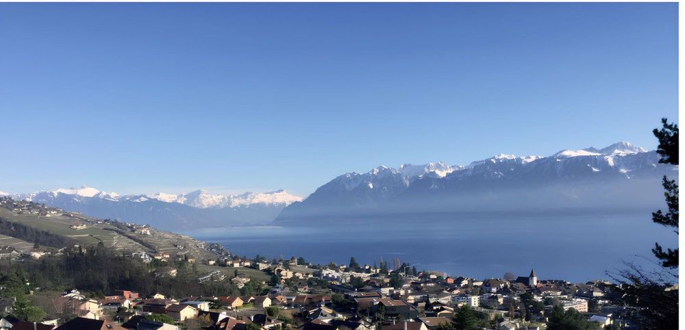 Villa in Lutry mit atemberaubendem Blick auf den See und die Berge - Bild 4