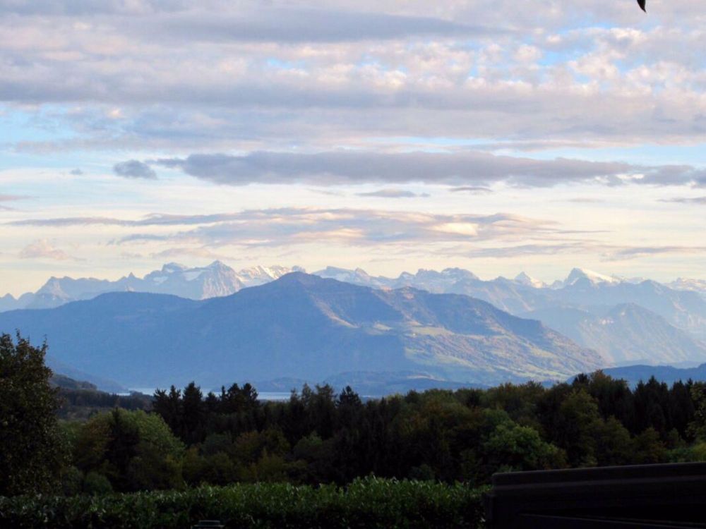 Exklusive Villa an Toplage vor den Toren Zürichs - Bild 8