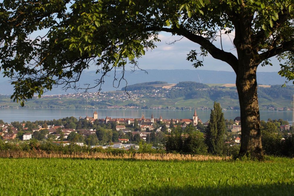 Apartment for sale, Chemin Champ Olivier, in Murten, Switzerland - Bild 10