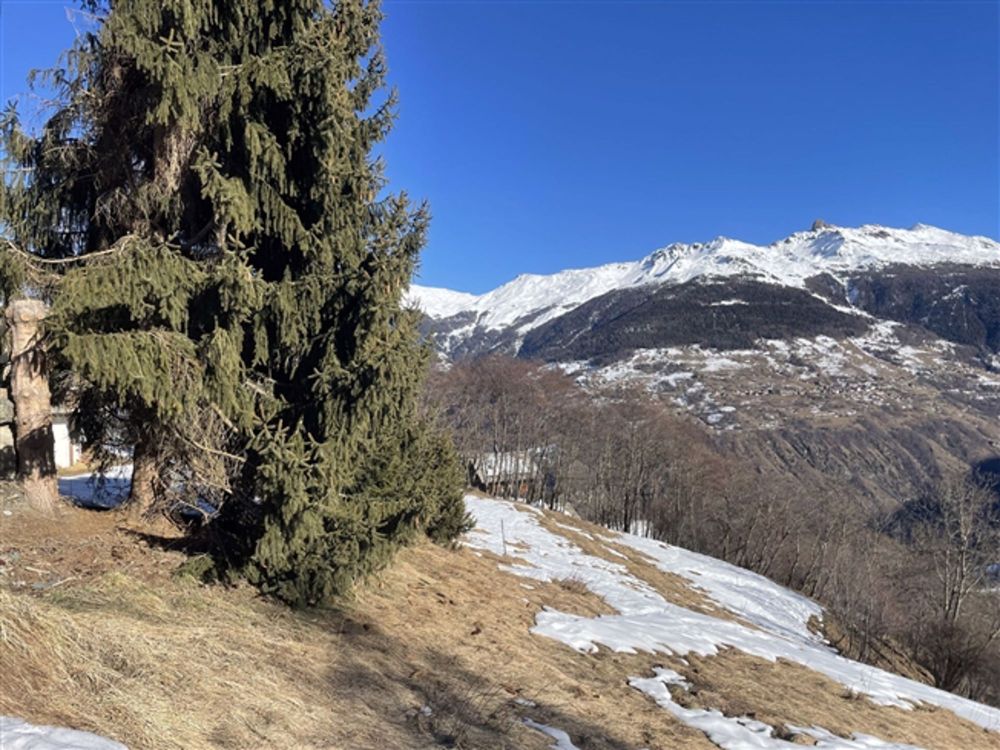Neues Chalet mit 4,5 Zimmern - Les Masses - Bild 7