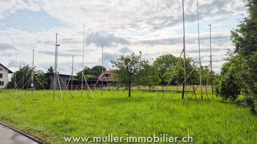 Neue Halb-Einfamilien-Villa mit Garten in den Höhen von Payerne - Bild 3