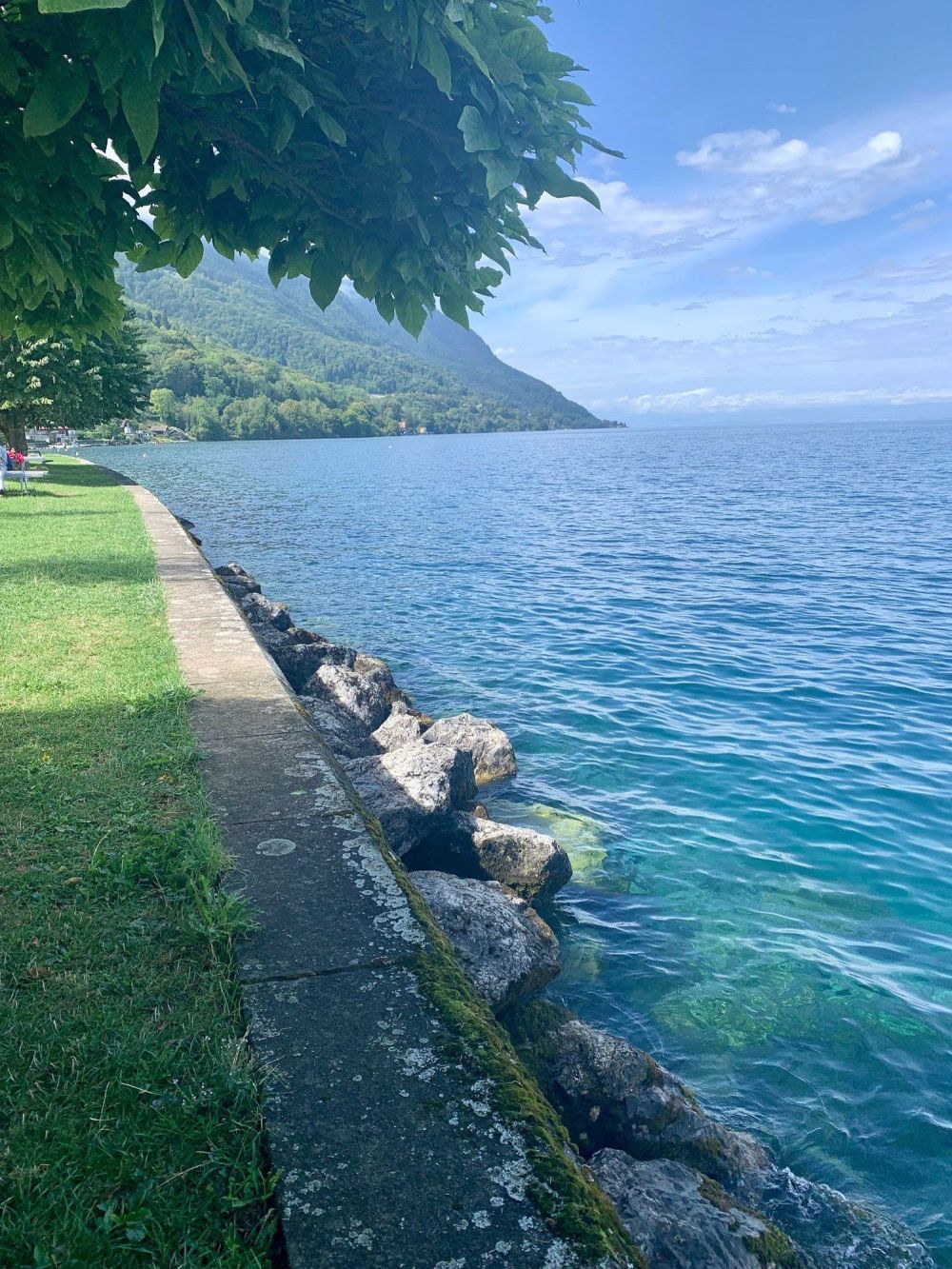 Duplex en Attique d'exception à St-Gingolph, vue sur le lac Léman et les montagnes - Bild 5