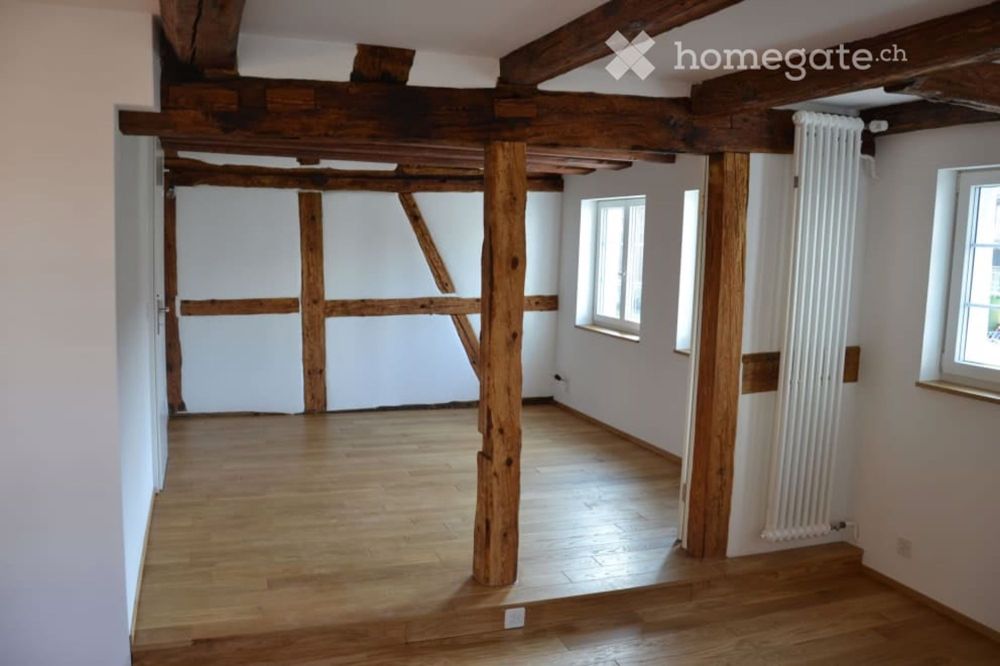 3-Generationen-Haus, 7-Zi.+2-Zi.+Garten, edel, modern & chic restauriert,sehr hell,alles bio - Innenansicht Studio