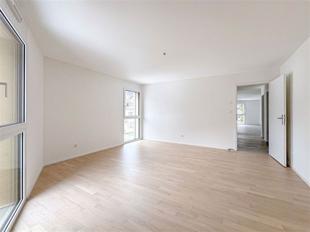 Neues Penthouse von 4,5 Zimmern von 123 m2 - Terrasse von 120 m2 Los B10 - Bild 11