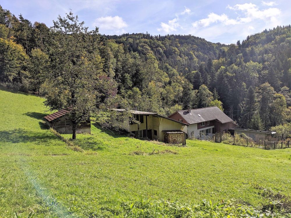 NATURJUWEL: 2'136m² Wiese, mit 1 bewilligtem Haus, 100% autark, Natur pur Waldlichtung - Bild 1