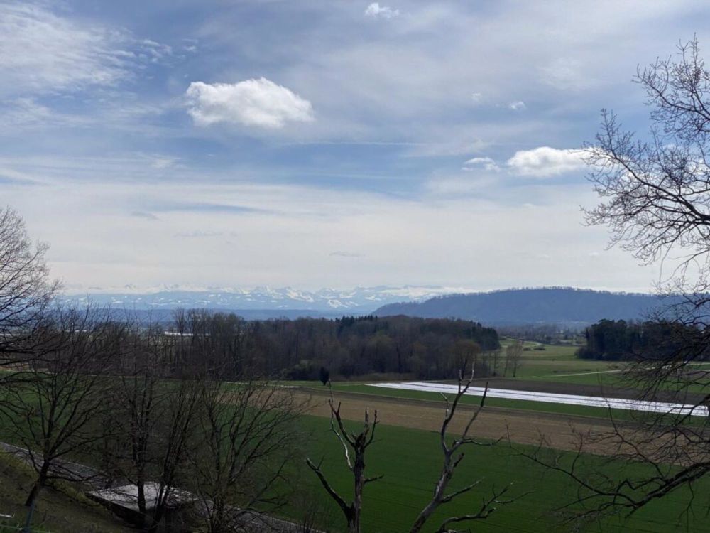 Zweieinhalb-Zimmer-Wohnung in Gampelen - Bild 4