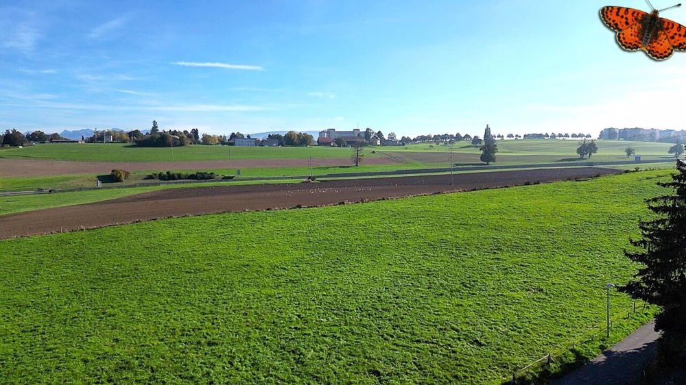 Attique de 5,5 pièces d'exception avec terrasse panoramique de 104 m²! - Vue depuis l'attique